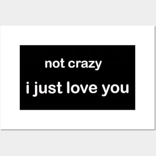 Not crazy, I just love you Posters and Art